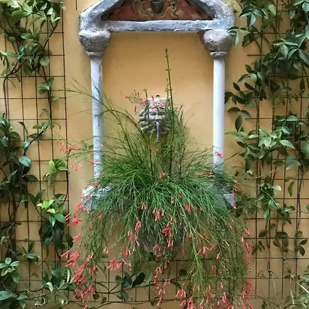 Chez Lumiere Salerno