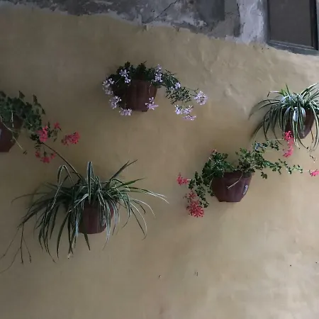 Chez Lumiere Tatil Evi